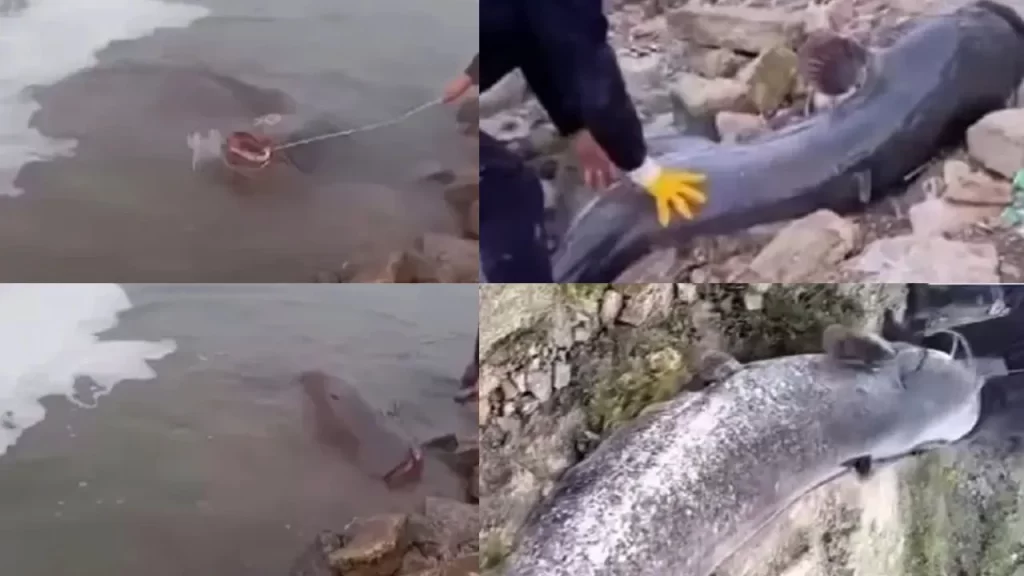 Balıkçılar İçin Unutulmaz Bir Deneyim
