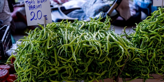 Geyve8217de-Yaz-Sezonu-Biber-Fidesi-Satislari-Basladi-featured