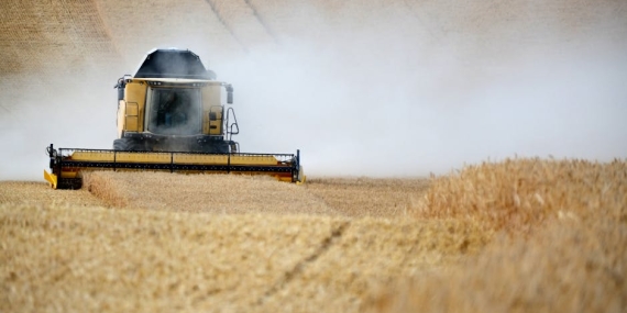 Sakarya8217ya-Zirai-Don-Uyarisi-Tarim-Sektoru-Alarmda-featured