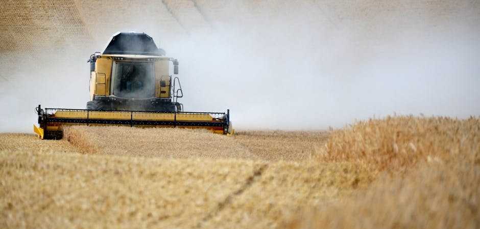 Sakarya8217ya-Zirai-Don-Uyarisi-Tarim-Sektoru-Alarmda-featured