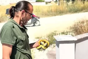Yücel Erdoğan'ın Yılanlarla Dansı