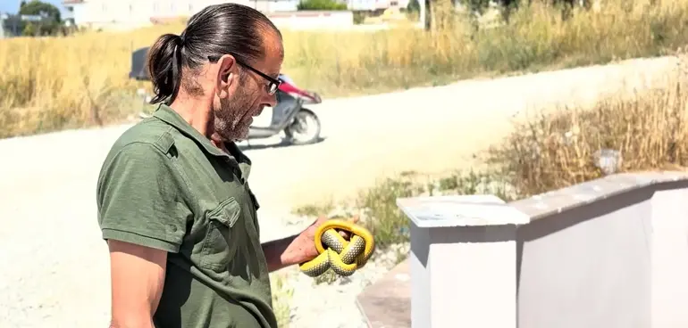 Yücel Erdoğan'ın Yılanlarla Dansı