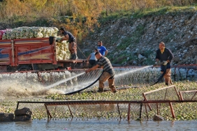 Sakarya8217da-Su-Urunleri-Kacakciligina-Karsi-Buyuk-Temizlik-featured
