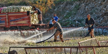 Sakarya8217da-Su-Urunleri-Kacakciligina-Karsi-Buyuk-Temizlik-featured