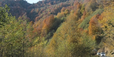 Inonu-ve-Ercova-Yaylalari-Sonbaharin-Renk-Cumbusuyle-Buyuledi-featured